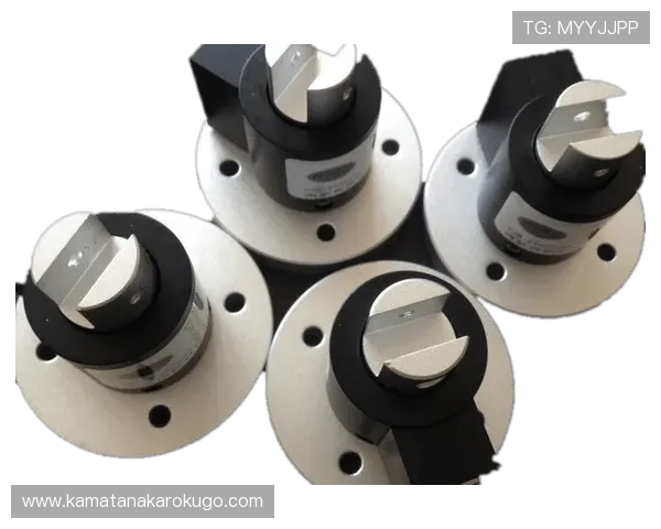 汇彩控股角子机行业发展趋势分析与未来市场潜力探讨