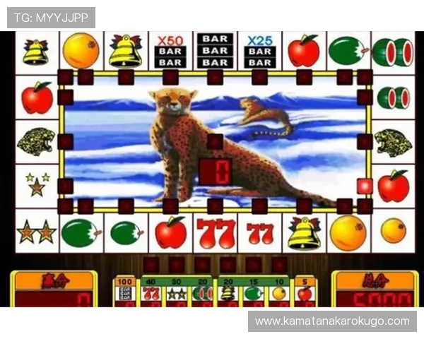 如何选择最优777水果老虎机在线平台确保游戏安全与资金保障