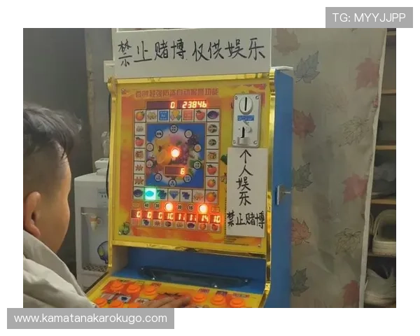 提升游戏体验的老虎机网站哪个好，详细比较各大平台的优势与特色